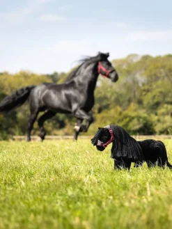 LeMieux Toys<Toy Pony Spike