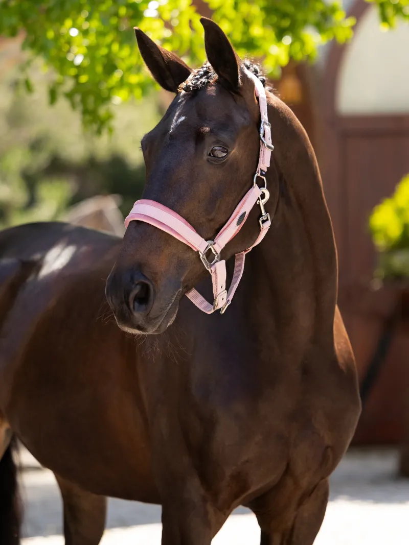 LeMieux Head Collars<Versailles Headcollar & Leadrope SS25