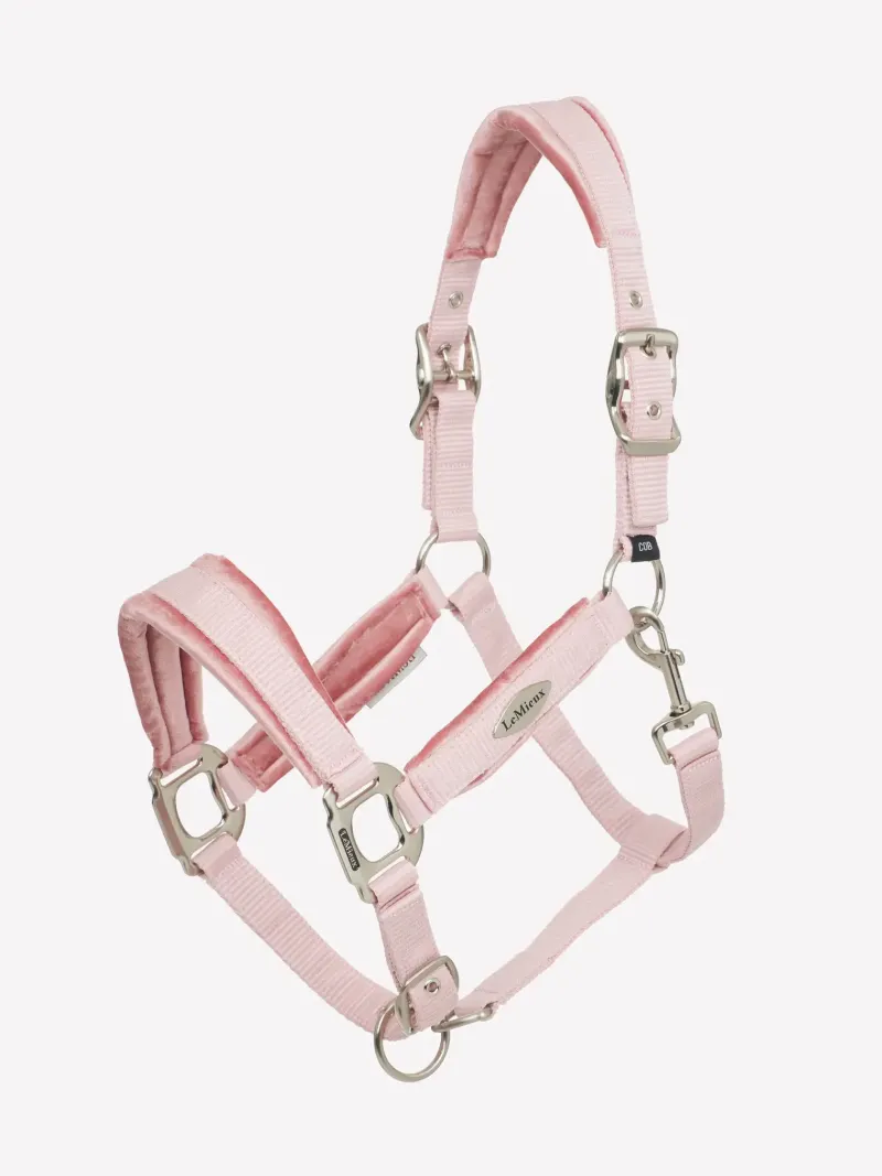 LeMieux Head Collars<Versailles Headcollar & Leadrope SS25