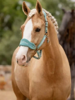 LeMieux Head Collars<Vogue Headcollar & Leadrope SS25