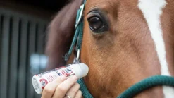 Trilanco Fly Repellents<Leovet Power Phaser Roll On 75ml