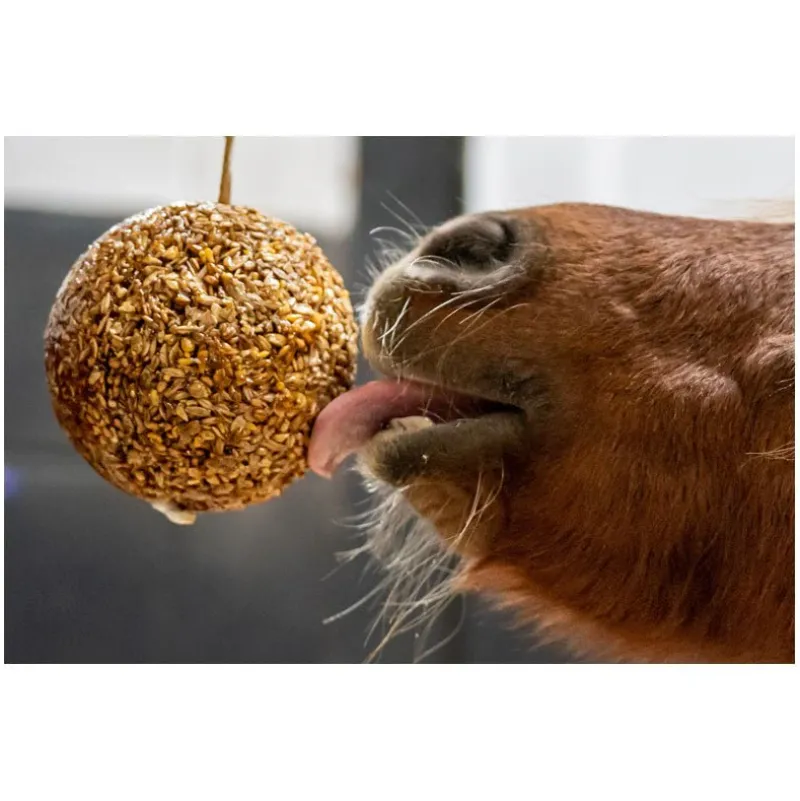 Battles Treats<Likit Granola Stall Ball