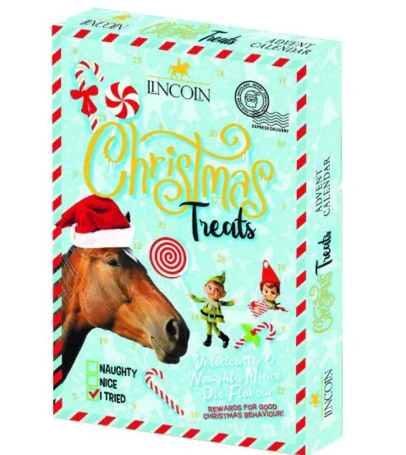 Battle Hayward u0026 Bower Treats<Lincoln Naughty or Nice Advent Calendar