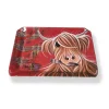 Du0026C Supplies Homeware<McMoo Tartan Paint Snack Tray