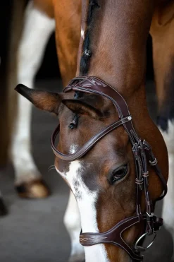 Montar Bridles<Monarch Jumping Bridle Eco Leather