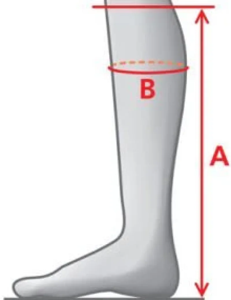 Mountain Horse Long Riding Boots<Sovereign LUX High Rider Boots