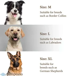 Pampeano Collars And Leads<Leather Dog Collar Hermoso