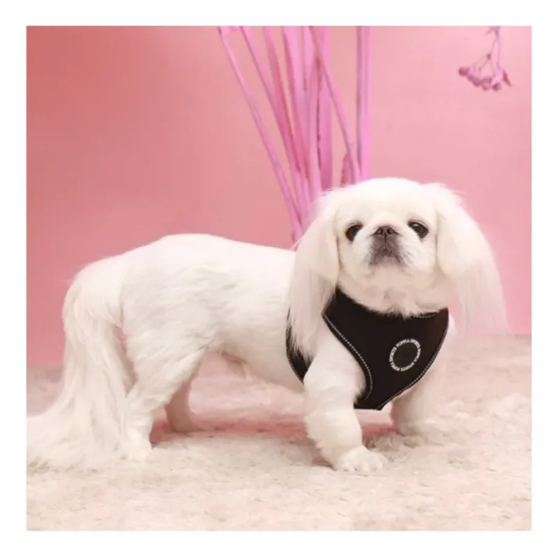 Pet London Dog Harnesses|Dog Coats<Trek Harness A