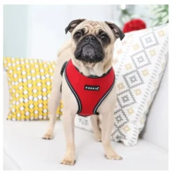 Pet London Dog Harnesses|Dog Coats<Trek Harness A