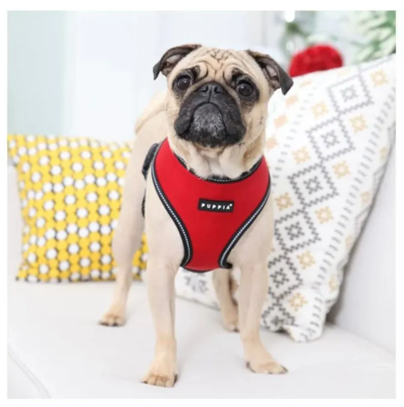 Pet London Dog Harnesses|Dog Coats<Trek Harness A