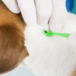 Country Ways Fly Repellents<Pyramid Lyme Disease Test Kit