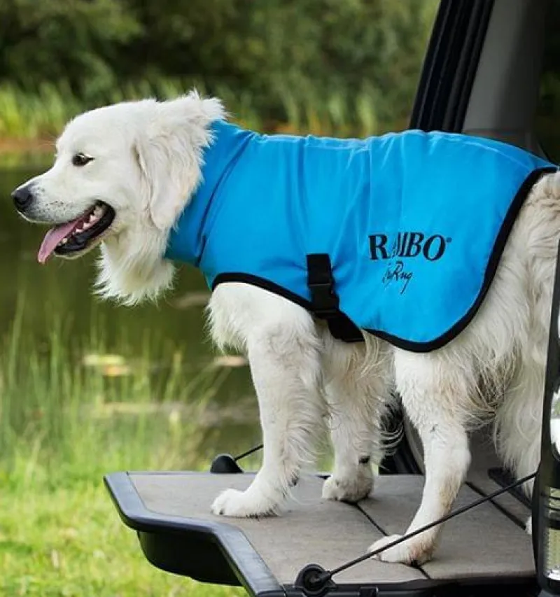 Horseware Dog Coats<Rambo Dry Dog Rug