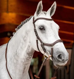 Horseware Bridles<Rambo Micklem Competition Bridle