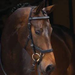 Horseware Bridles<Rambo Micklem Competition Bridle