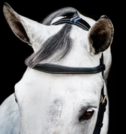 Horseware Bridles<Rambo Micklem Multi Bridle
