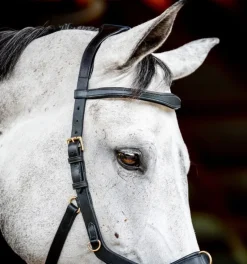 Horseware Bridles<Rambo Micklem Multi Bridle