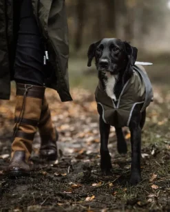 Reincoat Dog Coats<Dog