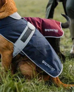Reincoat Dog Coats<Dog