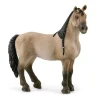 Schleich Toys<Criollo Mare