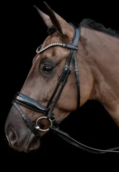 Schockemohle Bridle Parts|Bridles<Schockemole Sienna Bridle