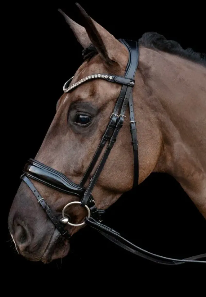 Schockemohle Bridle Parts|Bridles<Schockemole Sienna Bridle