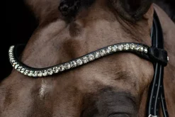 Schockemohle Bridle Parts|Bridles<Schockemole Sienna Bridle