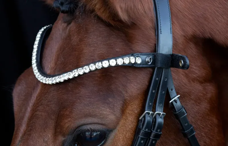 Schockemohle Bridle Parts|Bridles<Schockemole Sienna Bridle