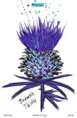 Du0026C Supplies Homeware<Scott Innes Bramble Thistle Oven Mitts