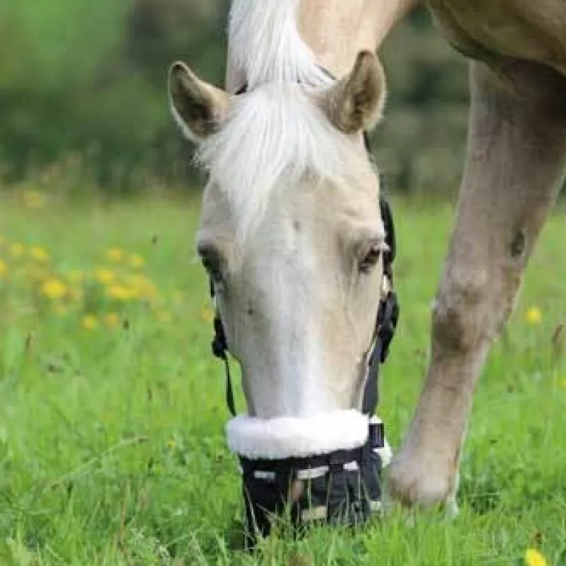 Shires Grazing Muzzles<Deluxe Comfort Grazing Muzzle