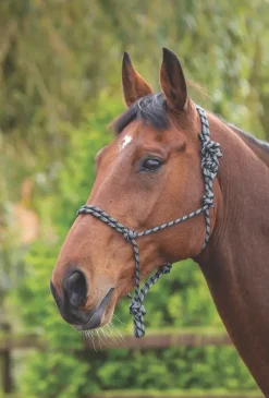 Shires Head Collars<Rope Control Headcollar