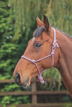 Shires Head Collars<Rope Control Headcollar