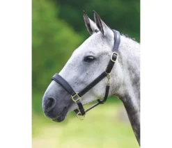 Shires Horse Wear Accessories|Head Collars<Velociti GARA Leather Travel Headcollar