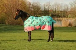 Battles Horse Rug Accessories<Storm X Original 0 Turnout Rug Thelwell Collection Trophy