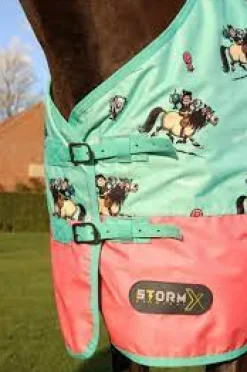 Battles Horse Rug Accessories<Storm X Original 0 Turnout Rug Thelwell Collection Trophy