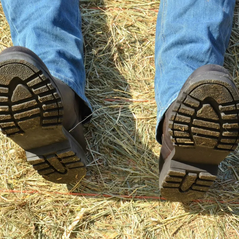 Tuffa Yard Boots<Unisex Clydesdale Yard Boots