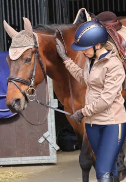 Uvex Riding Hats|Riding Hats<Suxxeed Chrome Riding Helmet