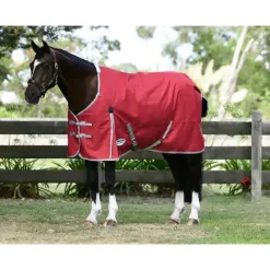 Weatherbeeta Turnout Rugs<ComFiTec Classic Standard Neck Lite Plus