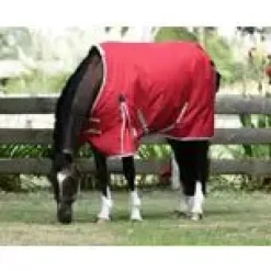 Weatherbeeta Turnout Rugs<ComFiTec Classic Standard Neck Lite Plus