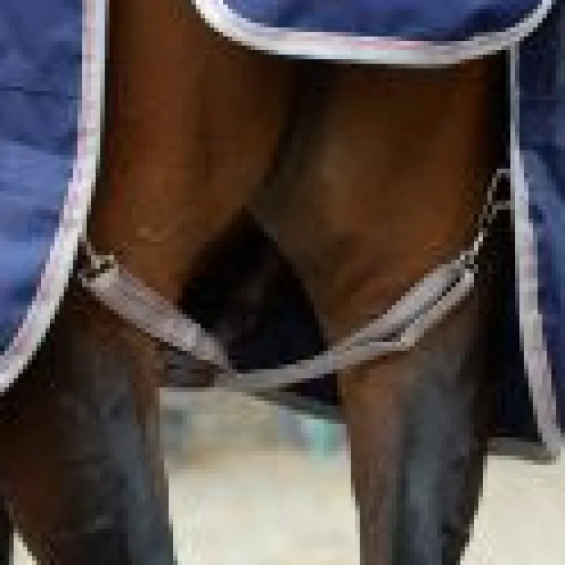 Weatherbeeta Horse Rug Accessories<Comfitec Essential Standard Neck Lite