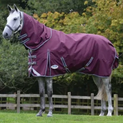 Weatherbeeta Horse Rug Accessories<Comfitec Plus Dynamic II Detach a Neck Medium