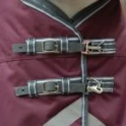 Weatherbeeta Horse Rug Accessories<Comfitec Plus Dynamic II Detach a Neck Medium