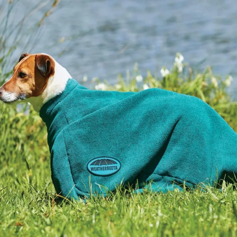 Weatherbeeta Dog Coats<Dry-Dog Bag