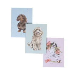 Wrendale Designs Stationery|Homeware<Wrendale 'A Dogs Life' Set Of 3 Notebooks